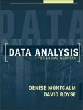 Denise Montcalm Data Analysis For Social Workers 