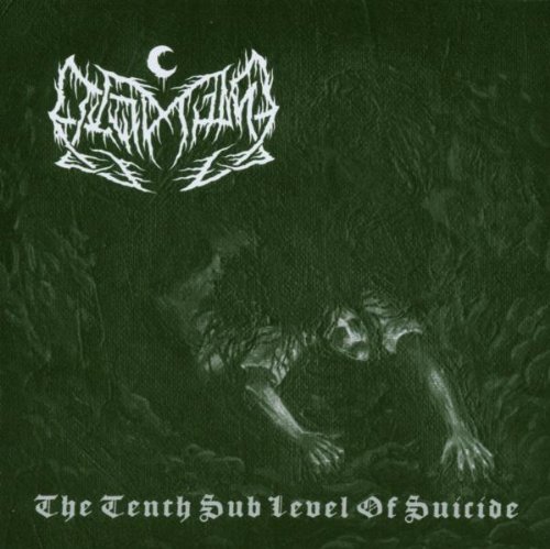 Leviathan Tenth Sub Level Of Suicide 
