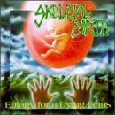 Skeletal Earth/Eulogy For A Dying Fetus