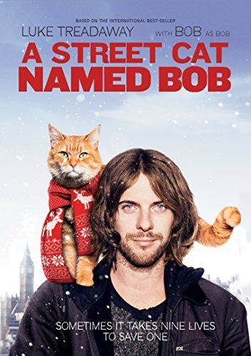 A Street Cat Named Bob/Treadway/Gedmintas@Dvd@Nr