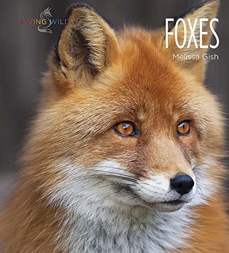 Melissa Gish Foxes 