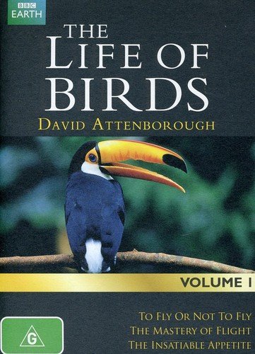 Life Of Birds/Life Of Birds@Import-Aus