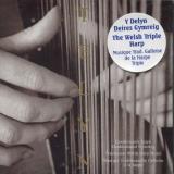 Llio Rhydderch Telyn 