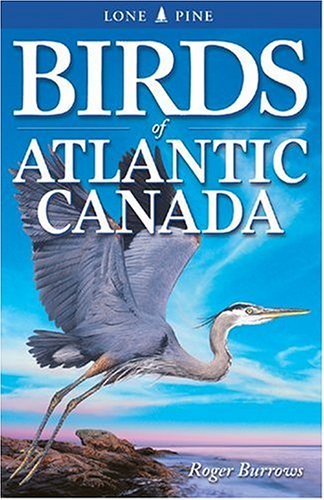 Roger Burrows Birds Of Atlantic Canada Uk 