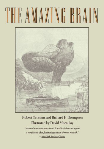 Robert Ornstein/The Amazing Brain