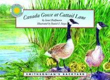 Janet Halfmann Canada Goose At Cattail Lane 