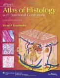 Victor P. Eroschenko Difiore's Atlas Of Histology With Functional Corre 0011 Edition; 