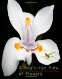 Dr Gary Greenberg A Bug's Eye View Of Flowers 