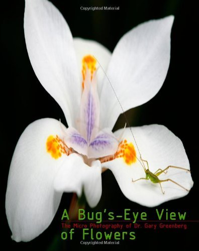 Dr Gary Greenberg A Bug's Eye View Of Flowers 
