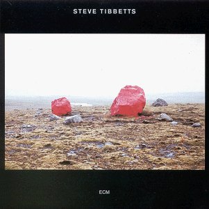 Steve Tibbetts/Exploded View