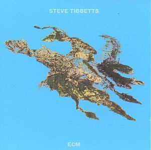 Steve Tibbetts/Big Map Idea