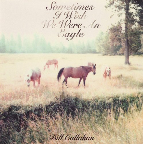 Bill Callahan/Sometimes I Wish We Were An Eagle