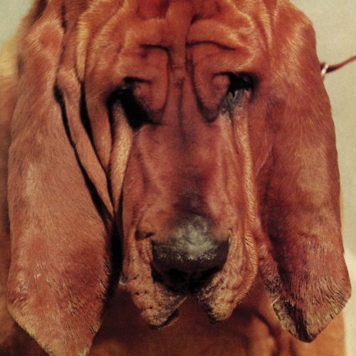Ty Segall/Goodbye Bread