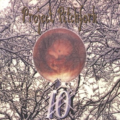Project Pitchfork/Io
