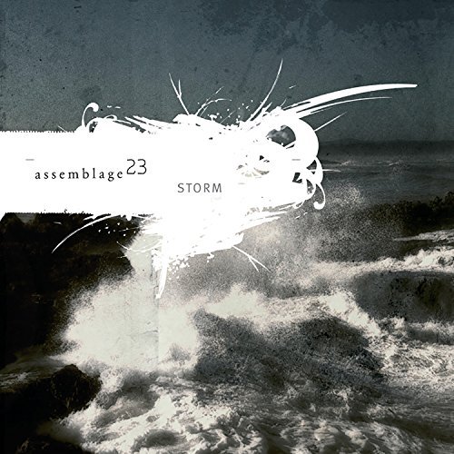 Assemblage 23/Storm