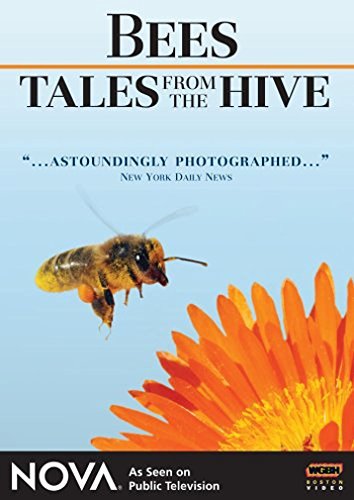 Nova Nova Bees Tales From The Hive Ws Nr 