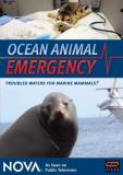 Nova Nova Ocean Animal Emergency Ws Nr 
