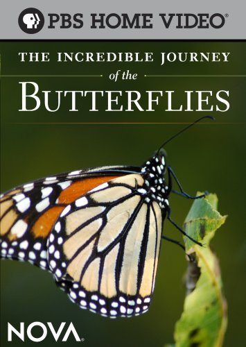 Nova/Nova: Incredible Journey Of Th@Ws@Nr
