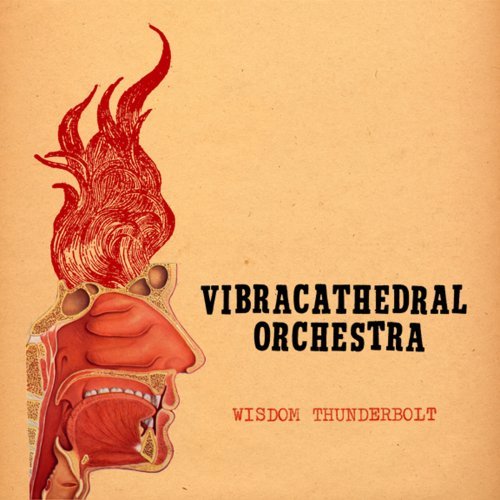 Vibracathedral Orchestra/Wisdom Thunderbolt