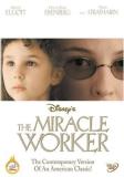 Miracle Worker Elliot Eisenberg Strahaim Nr 