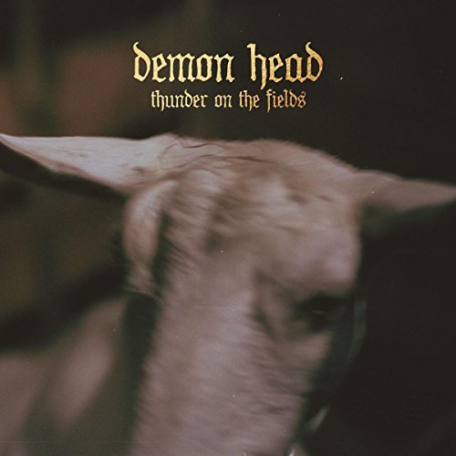 Demon Head/Thunder On The Fields