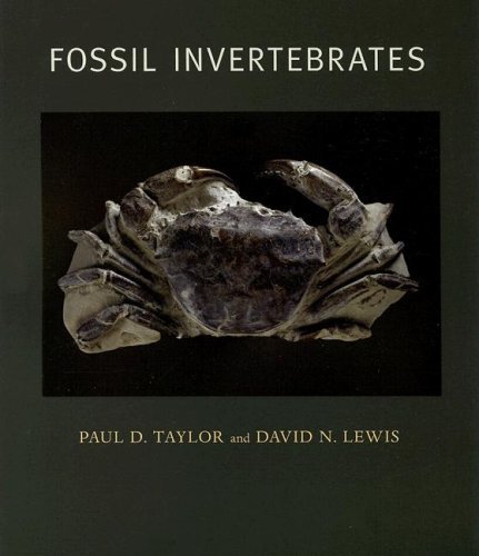 Paul D. Taylor Fossil Invertebrates 