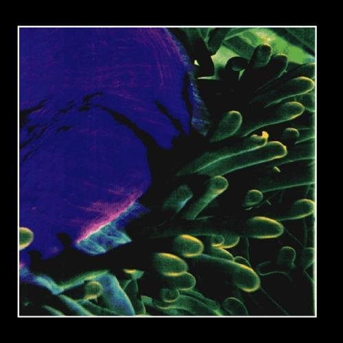 SORDID HUMOR/LIGHT MUSIC FOR DYING PEOPLE