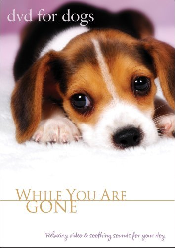 For Dogs : While You Are Gone/For Dogs : While You Are Gone