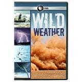 Wild Weather Wild Weather 