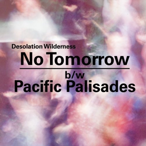 Desolation Wilderness/No Tomorrow B/W Pacific Palisa@7 Inch Single