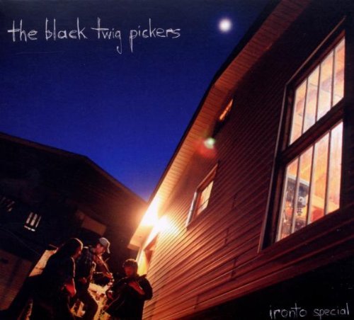 Black Twig Pickers/Ironto Special@Gatefold Mini-Lp Style