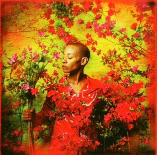 Gail Ann Dorsey/I Used To Be