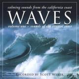 Scott Wyker Waves 
