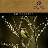 Brian Hardin Songbirds 