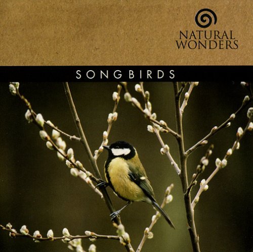 Brian Hardin Songbirds 