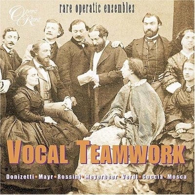 Vocal Treamwork: Rare Operatic/Vocal Teamwork-Rare Operatric@Donizetti/Mayr/Rossini/Meyerbe