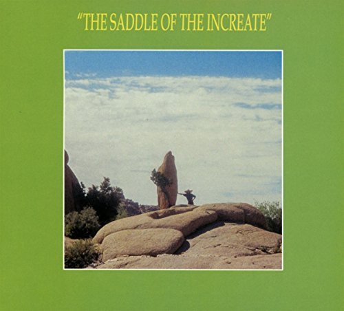 Sun Araw/The Saddle of the Increate