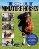 Kendra Gale Big Book Of Miniature Horses Everything You Need To Know To Buy Care For Tra 