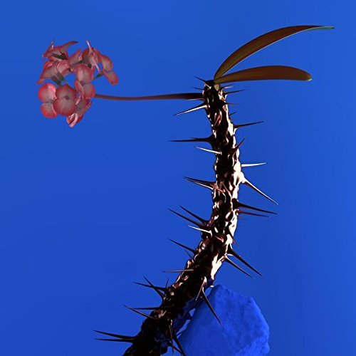 Flume/Skin Companion EP II