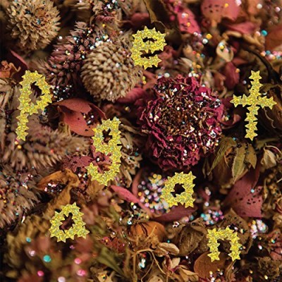 PWR BTTM/Pageant (maroon vinyl)