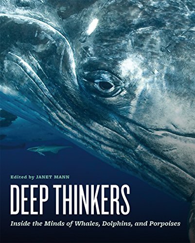 Janet Mann Deep Thinkers Inside The Minds Of Whales Dolphins And Porpois 