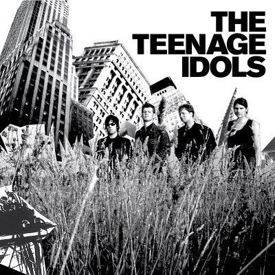 Teenage Idols/Teenage Idols@Import-Nld@4 Cd Set
