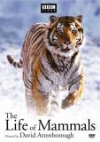 Life Of Mammals Gift Set Clr Nr 4 DVD 