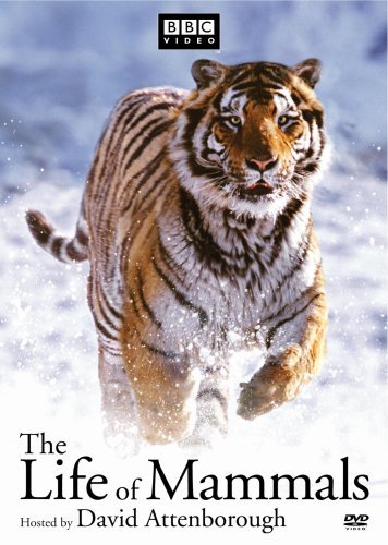 Life Of Mammals Gift Set Clr Nr 4 DVD 