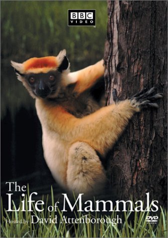 LIFE OF MAMMALS/VOL. 3
