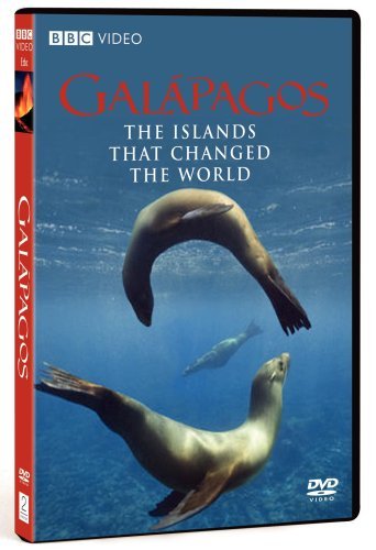 Galapagos/Galapagos@Nr