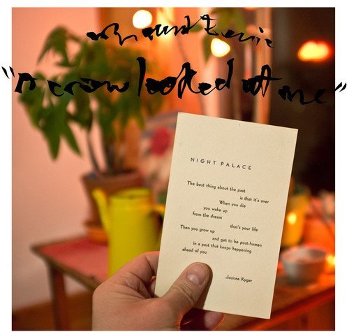 Mount Eerie/A Crow Looked At Me@Import-Jpn