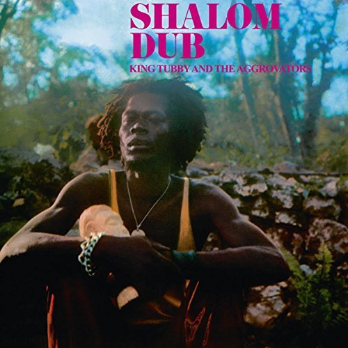 King Tubby & The Aggrovators/Shalom Dub@Lp