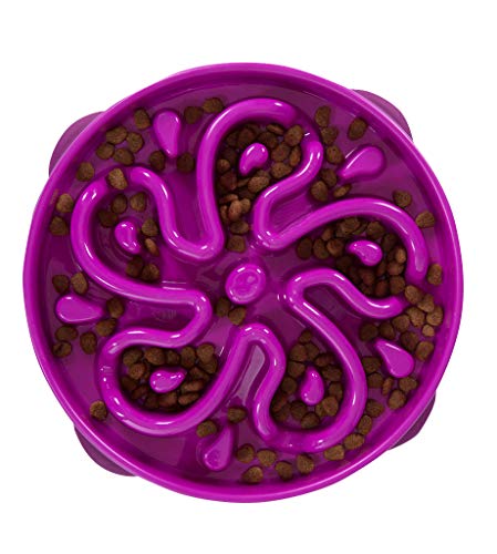 Fun Feeder Slo Bowl-Slow Feeder Dog Bowl Purple