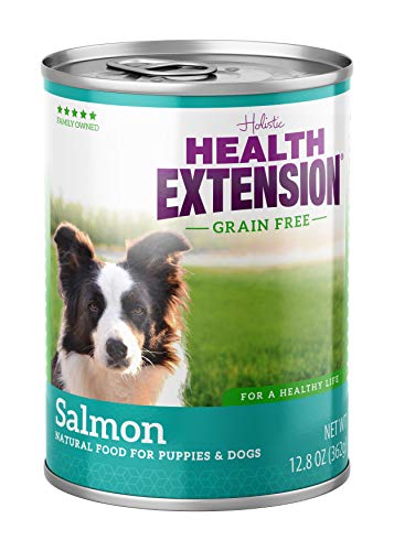 Health Extension Grain Free 95% Salmon